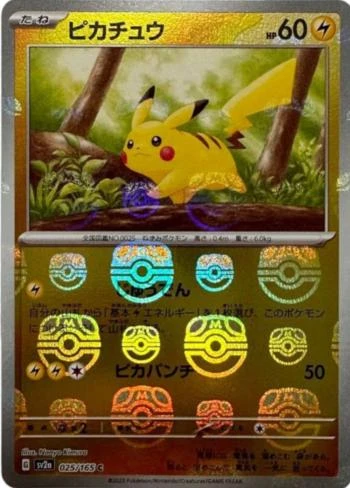Pikachu Master Ball #25