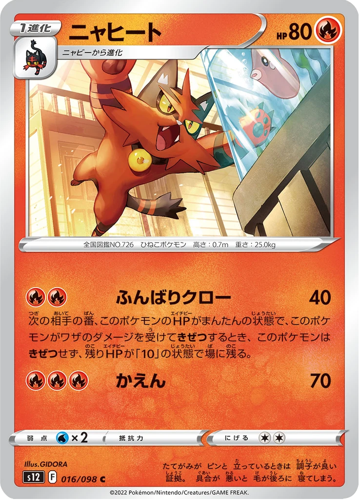 Torracat #16