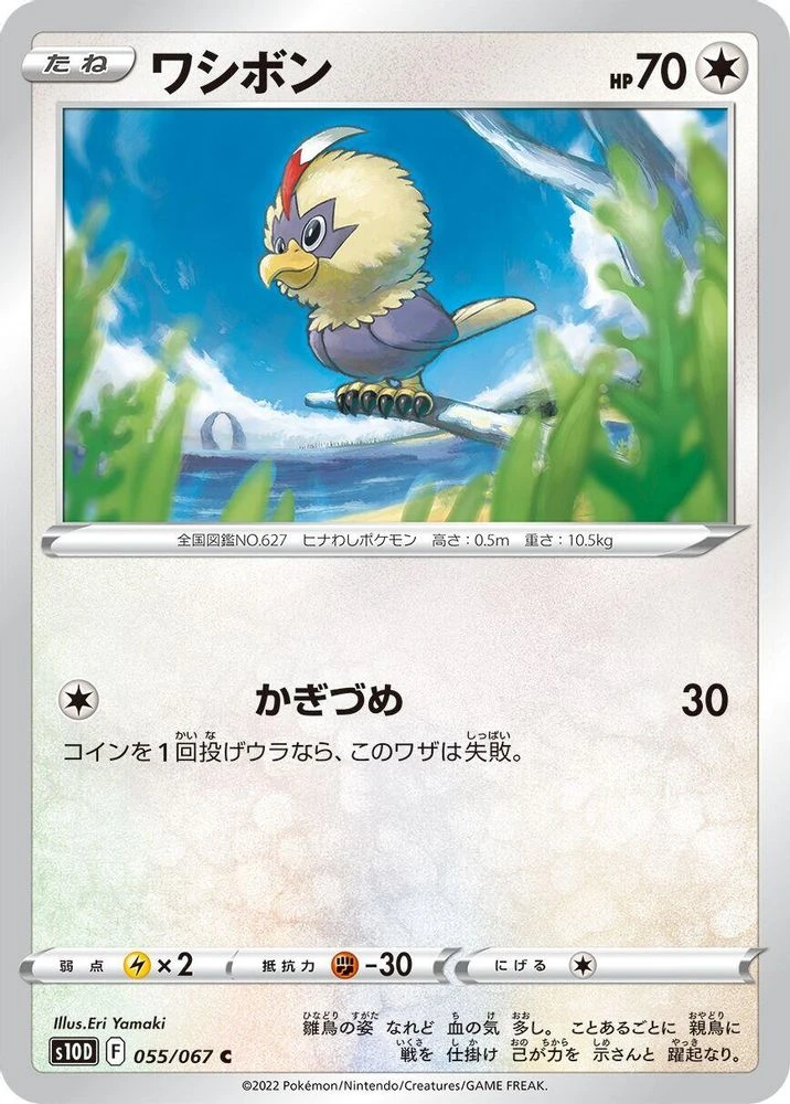 Rufflet #55