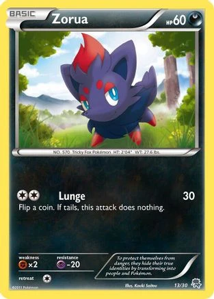 Zorua #13