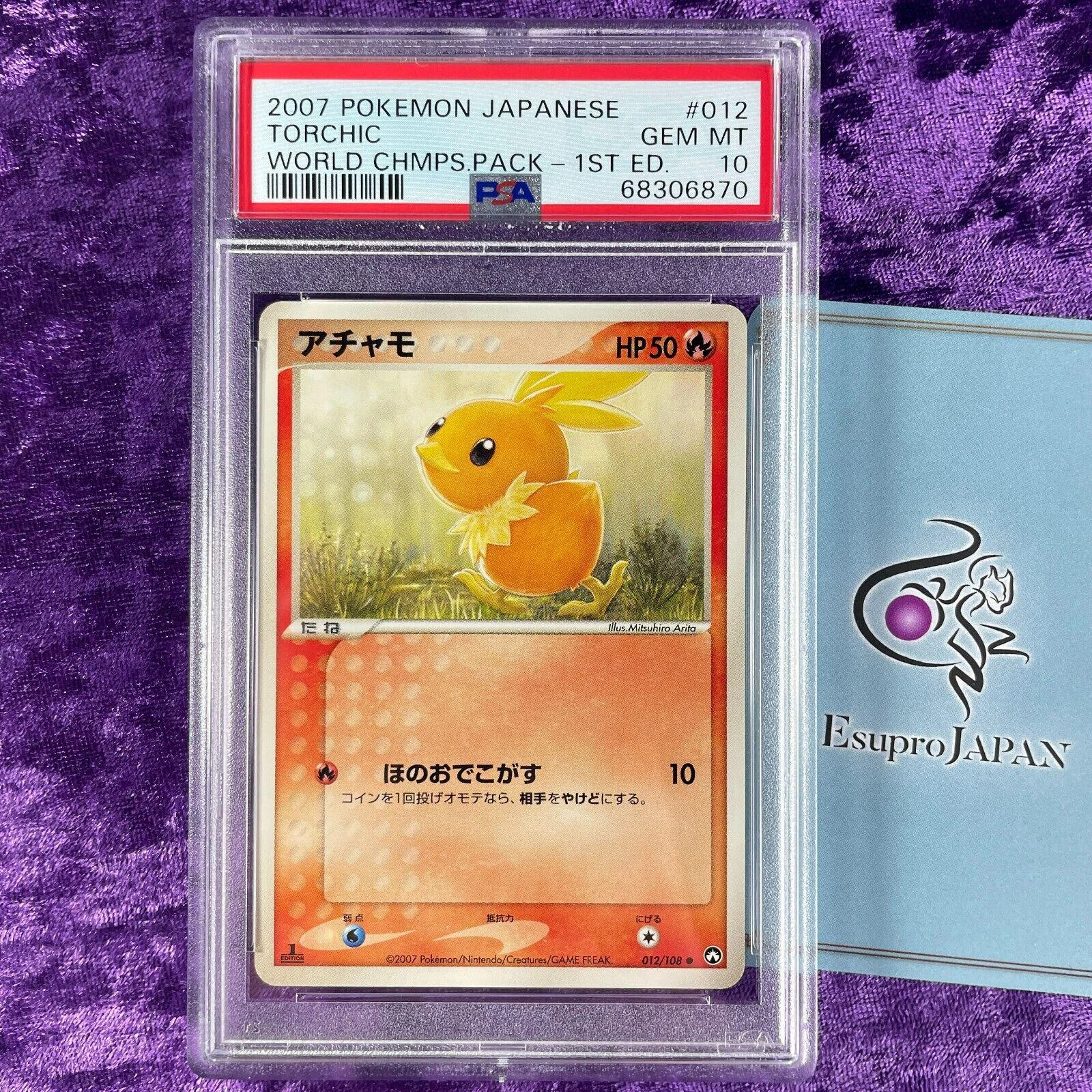 Torchic #12