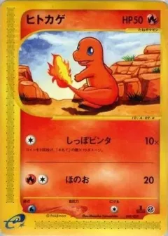 Charmander 1st Edition