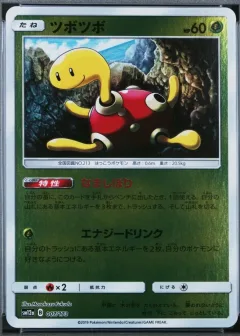 Shuckle Reverse Holo