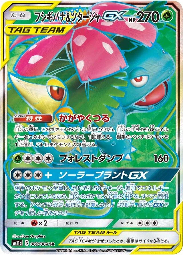Venusaur & Snivy Gx #65