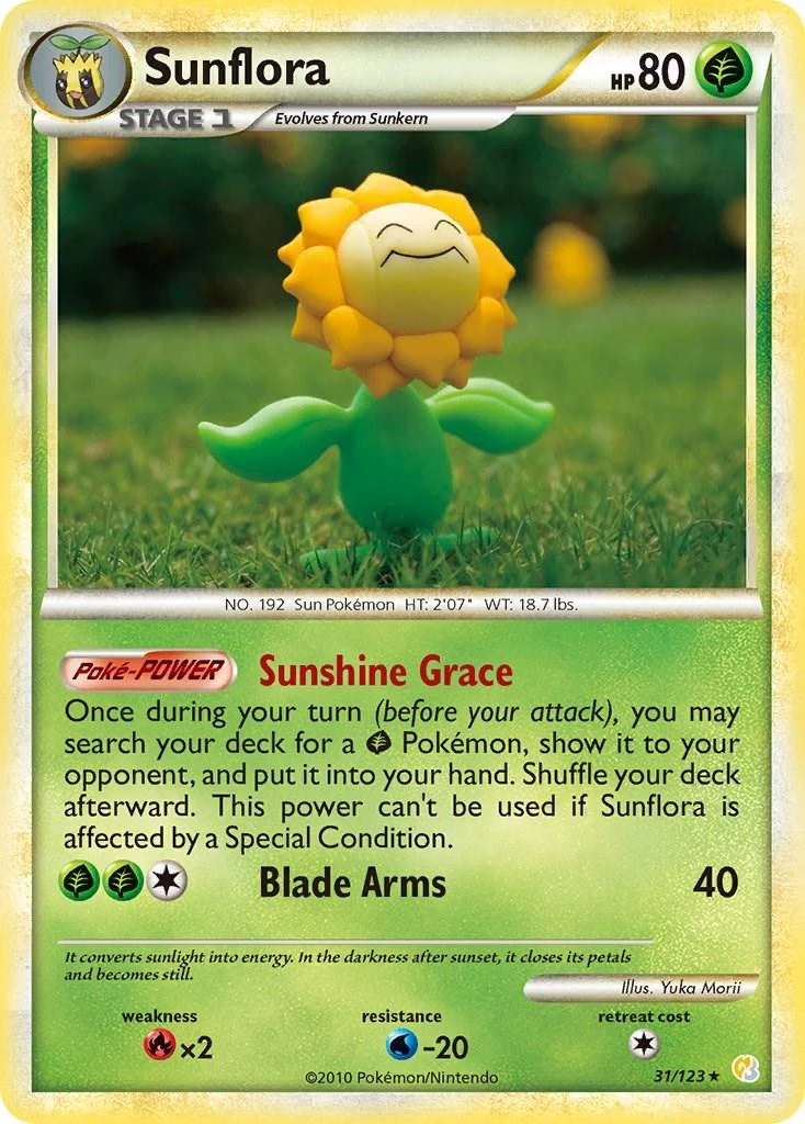Sunflora #31