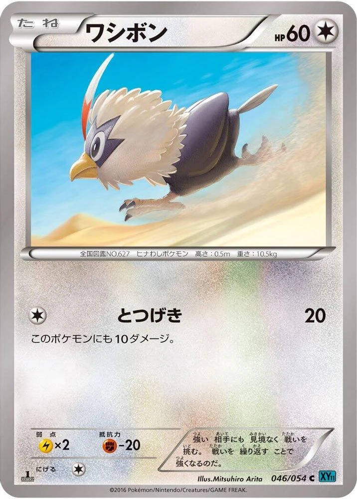 Rufflet #46