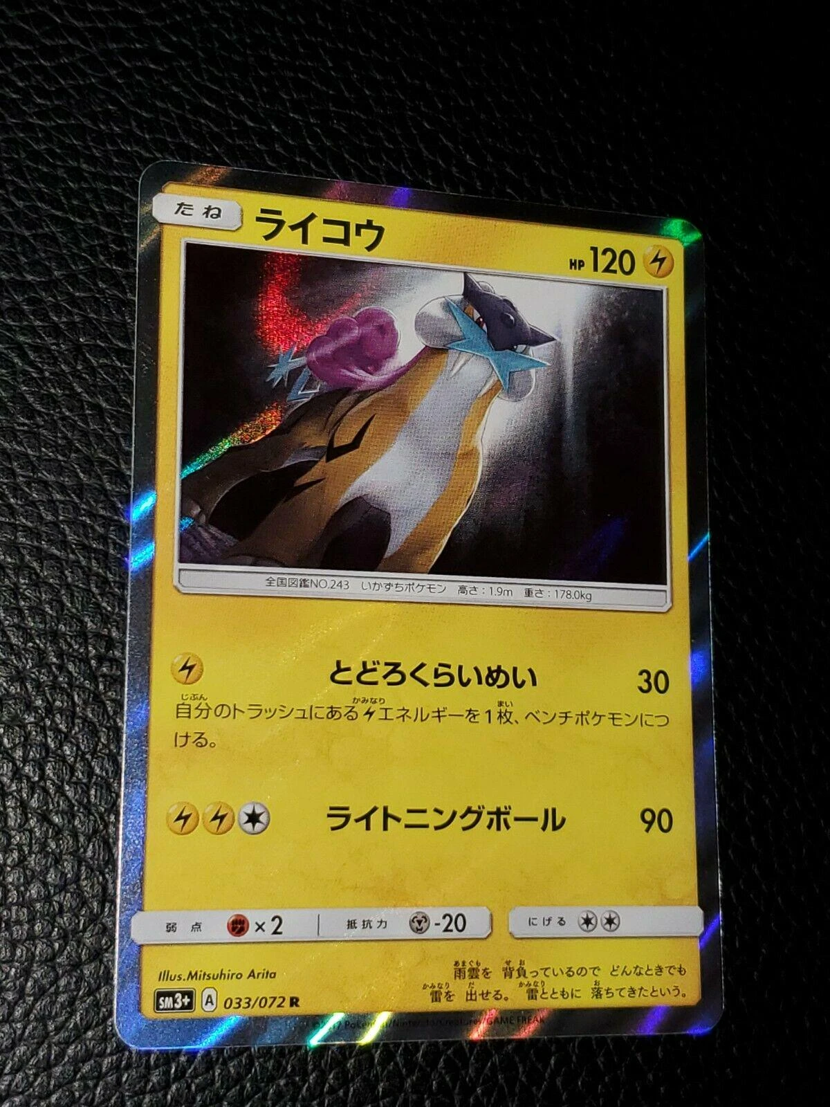 Raikou #33