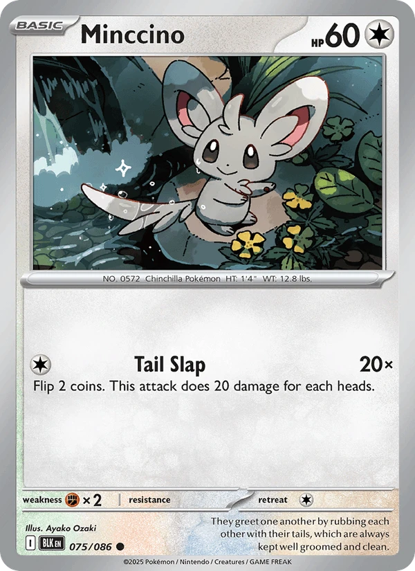 Minccino #75