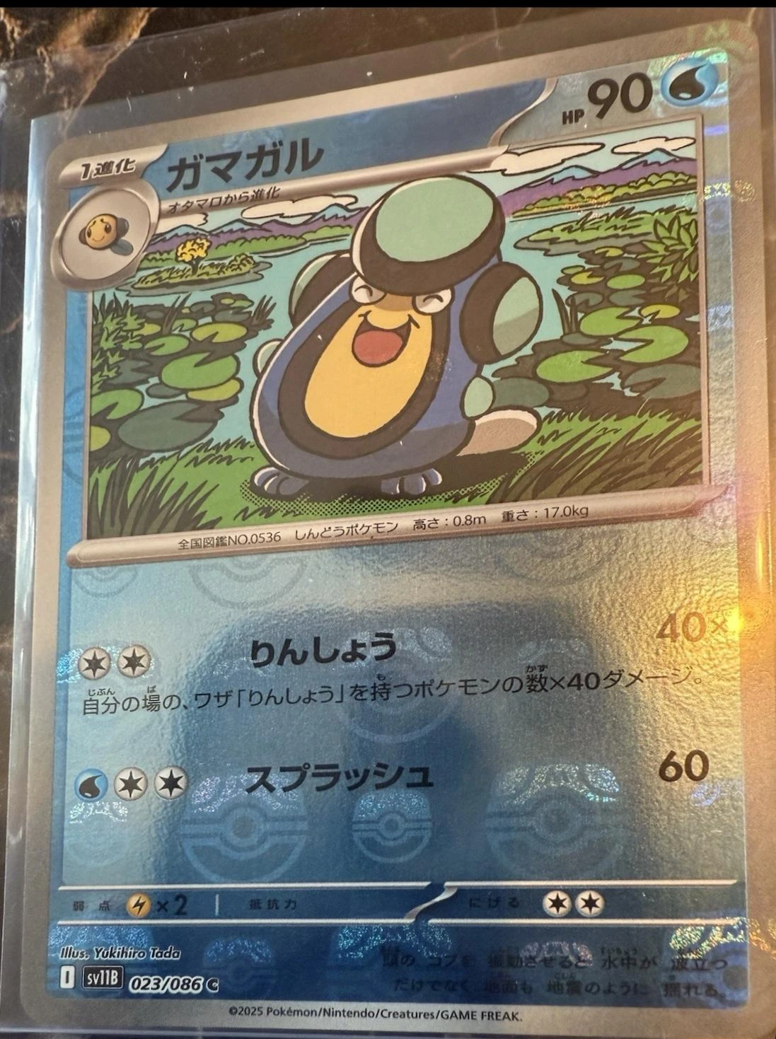 Palpitoad Master Ball #23