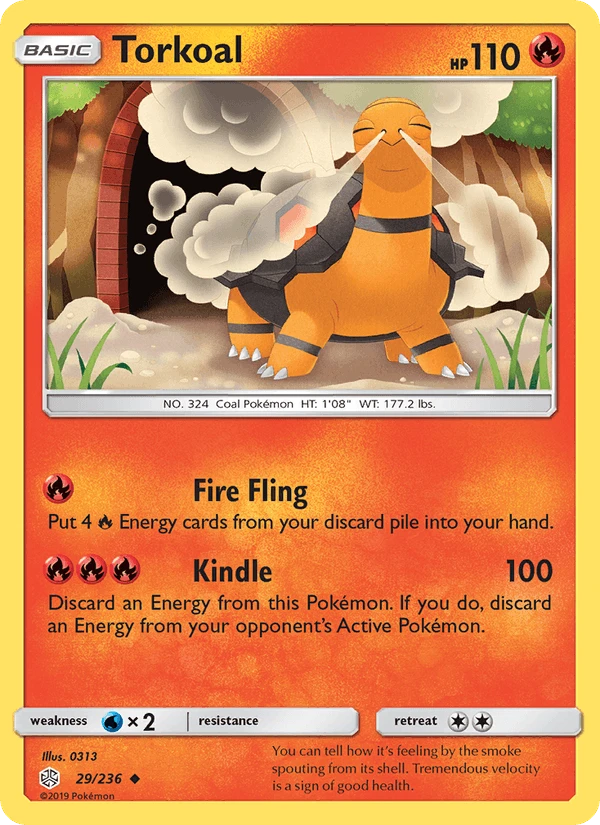 Torkoal #29