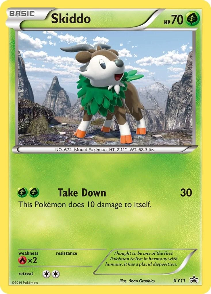 Skiddo Xy11
