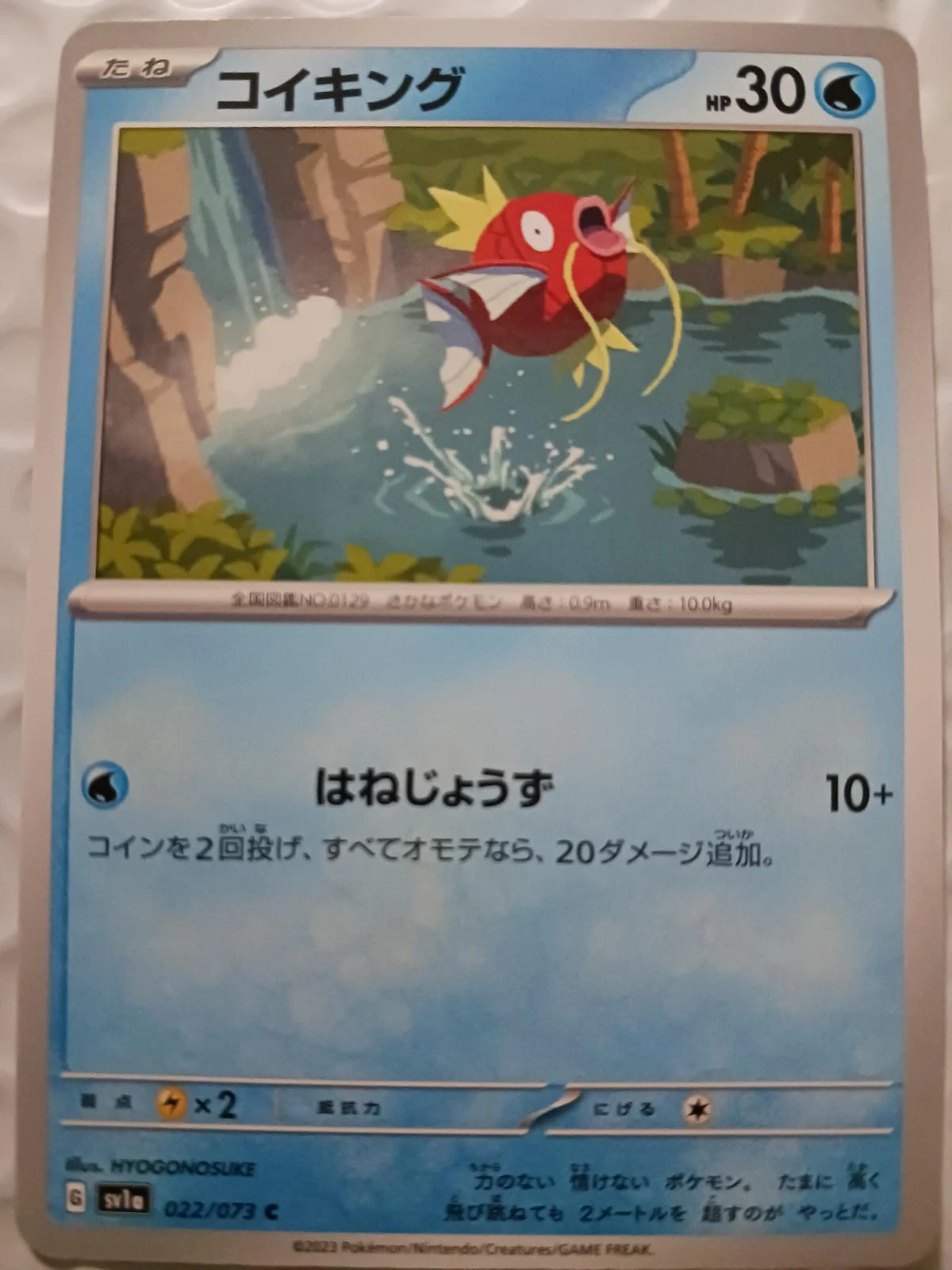 Magikarp #22