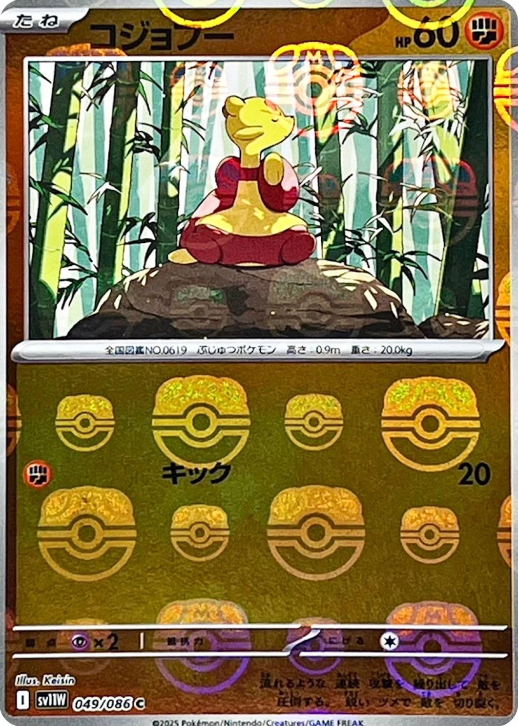 Mienfoo Master Ball #49