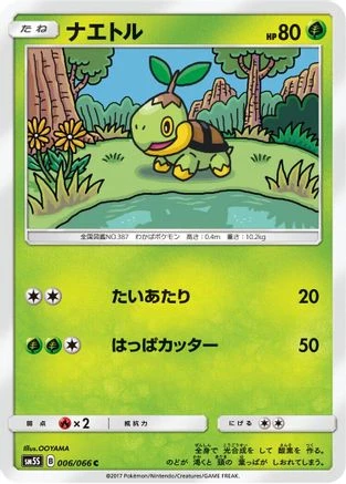 Turtwig #6
