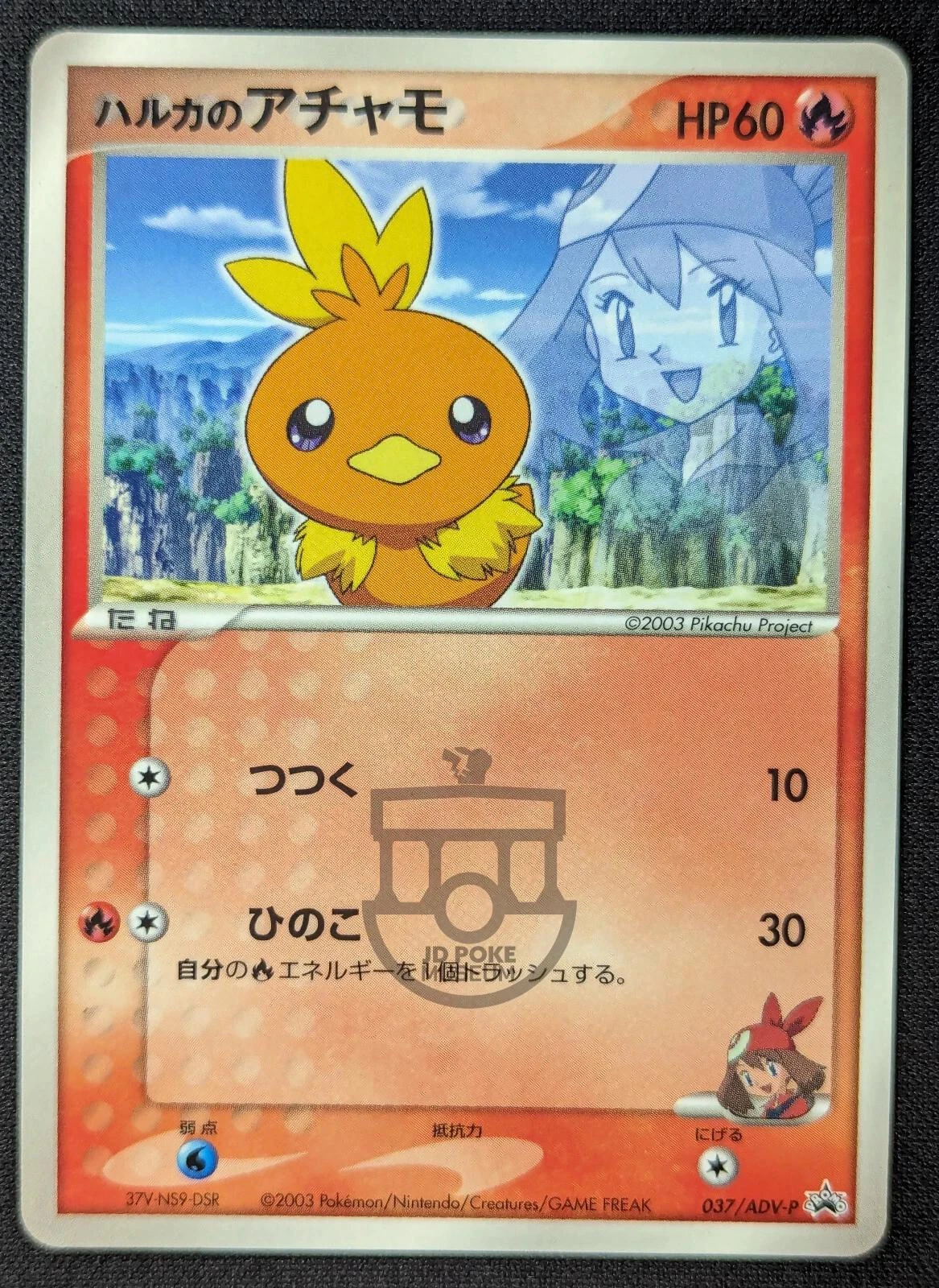 May's Torchic #37/ADV-P