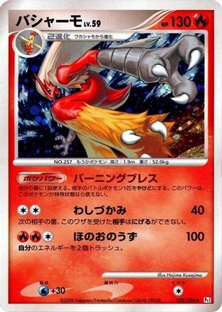 Blaziken #22