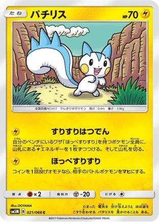 Pachirisu #21
