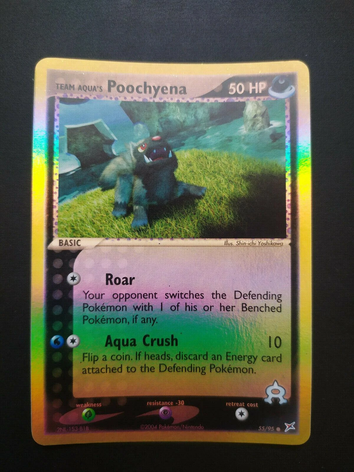 Poochyena Reverse Holo #55
