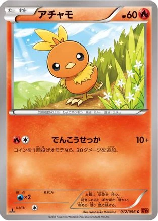Torchic #12