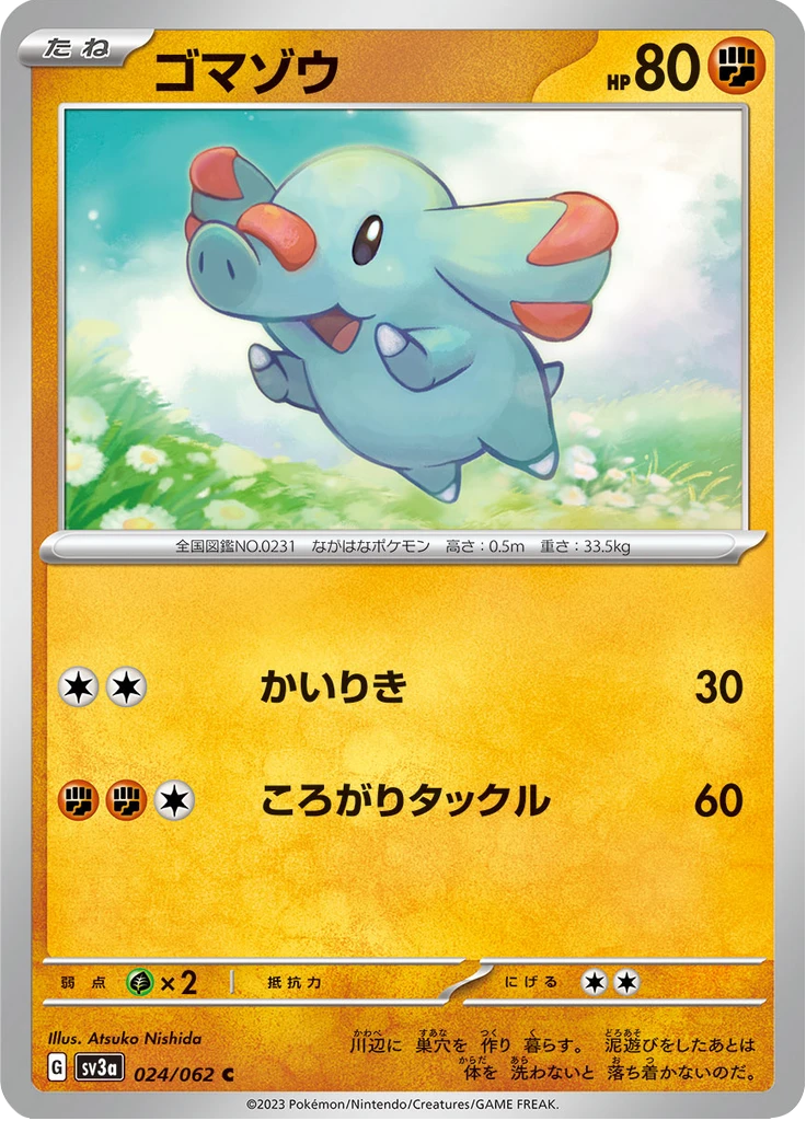 Phanpy #24