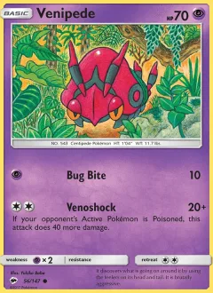 Venipede Reverse Holo