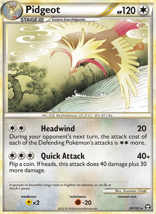 Pidgeot #29