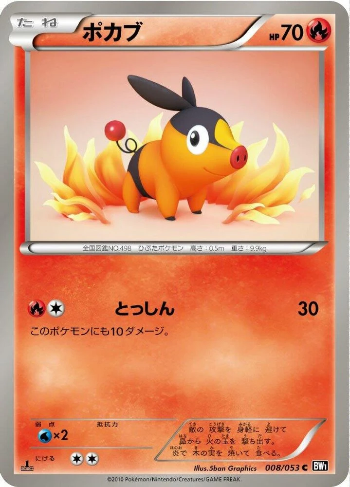 Tepig #8