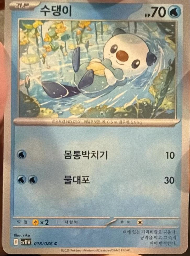 Oshawott #18