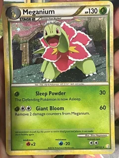 Meganium Cosmos Holo