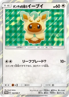 Poncho-Wearing Eevee