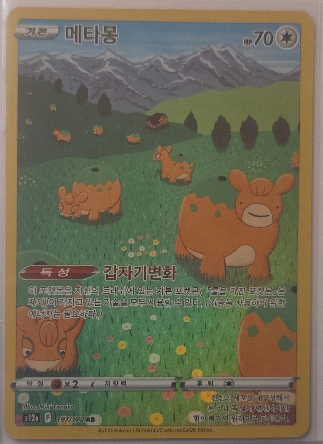 Ditto #197