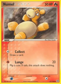 Numel Reverse Holo