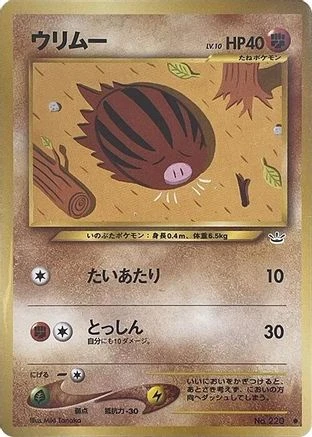 Swinub #220