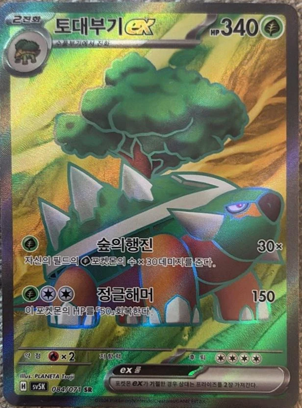 Torterra ex #84
