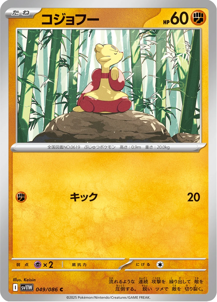 Mienfoo #49
