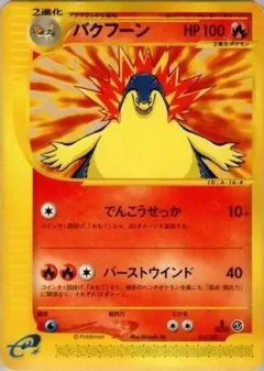 Typhlosion 1st Edition