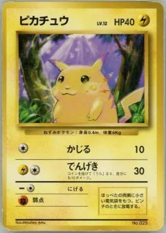 Pikachu No Rarity