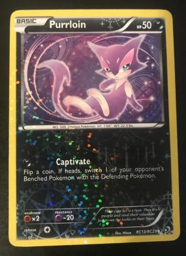 Purrloin Rc13