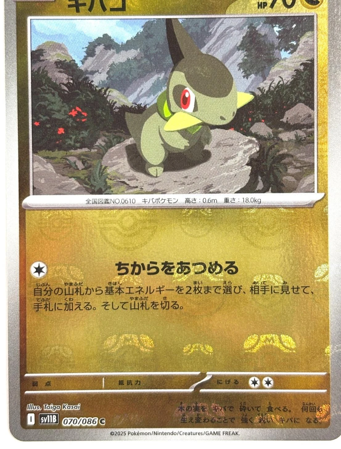 Axew Master Ball #70