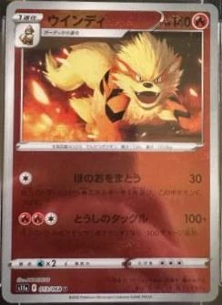 Arcanine Reverse Holo #13