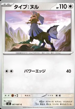 Type Null