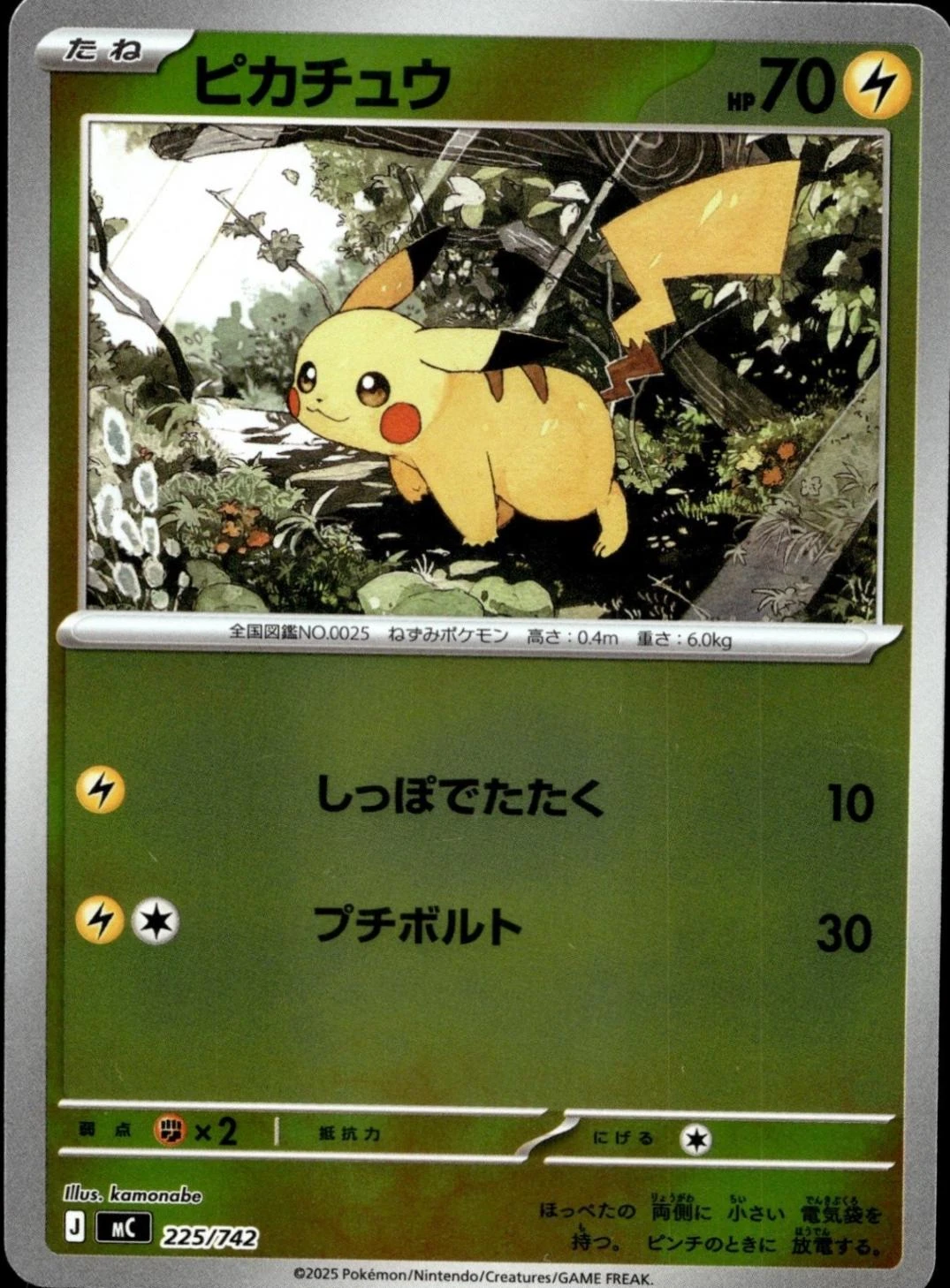 Raichu Mirror Holo #226