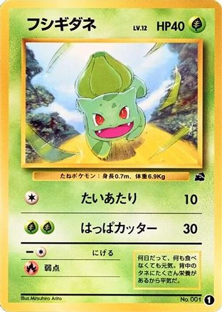 Bulbasaur #1