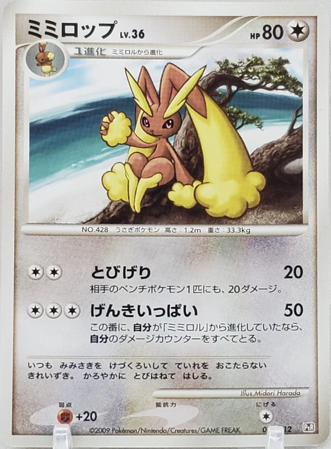 Lopunny #10