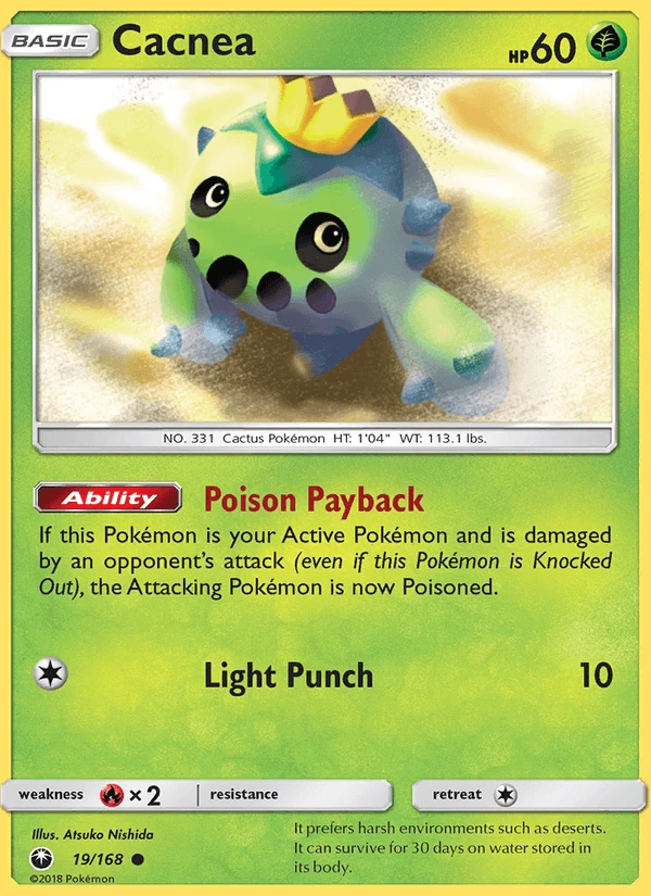 Cacnea #19