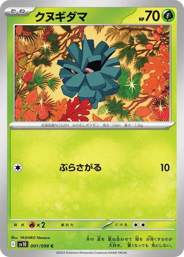 Pineco #1