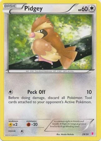 Pidgey #29