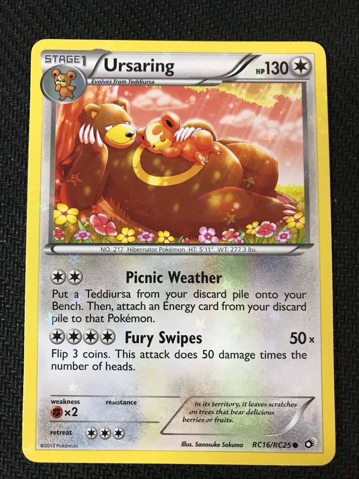 Ursaring Rc16