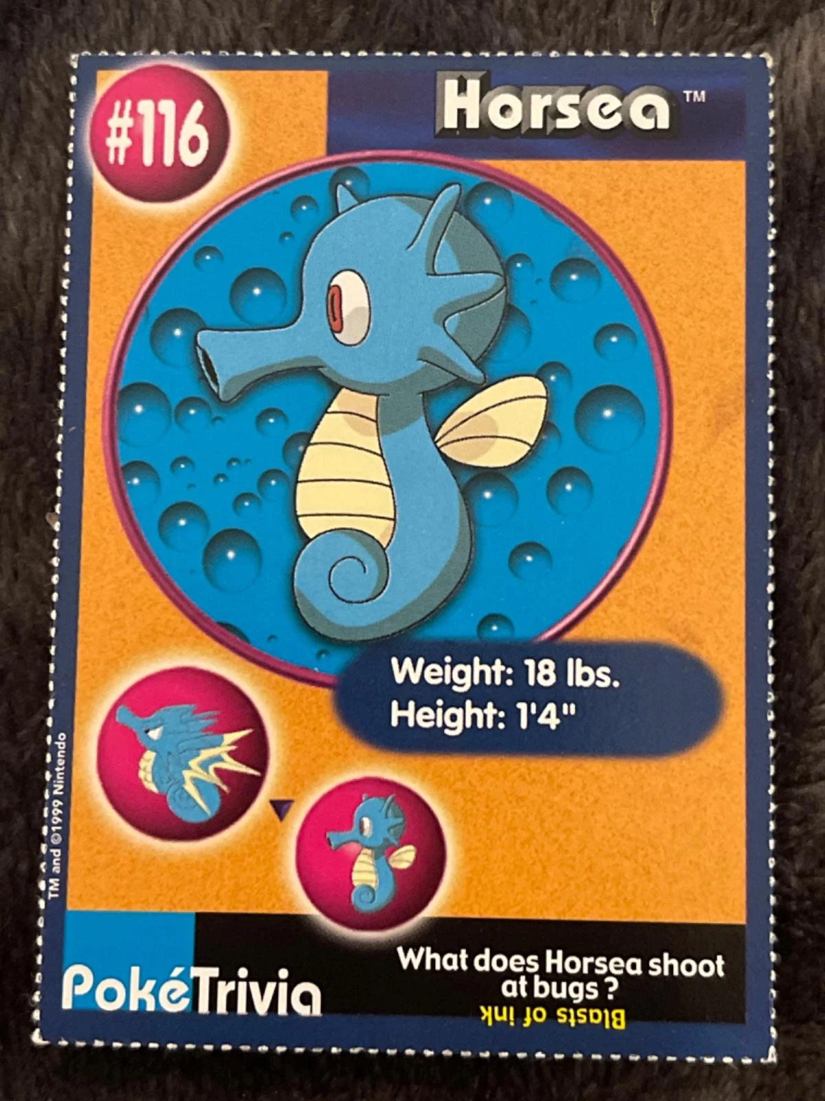 Horsea #116