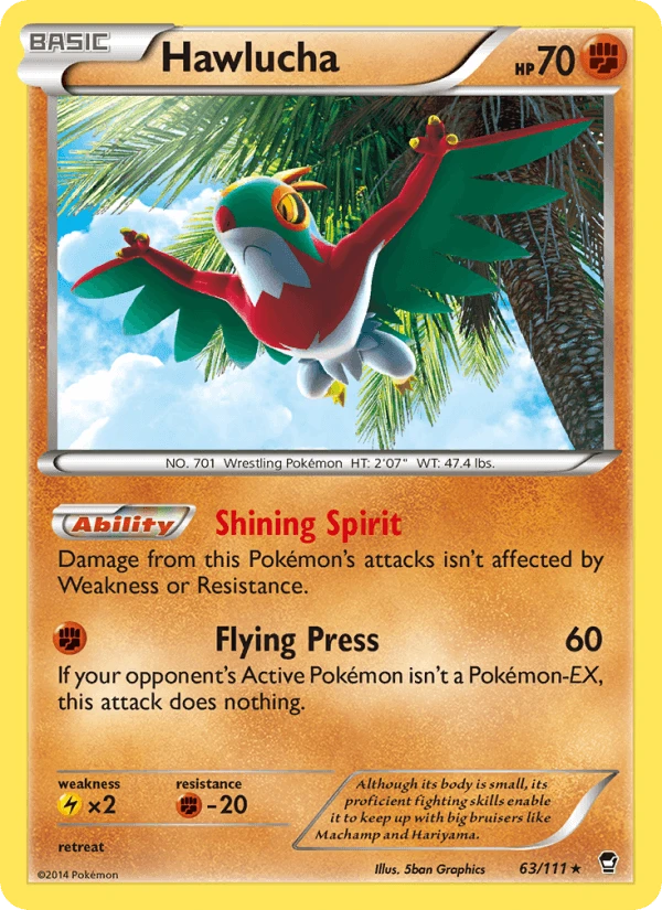 Hawlucha Holo #63